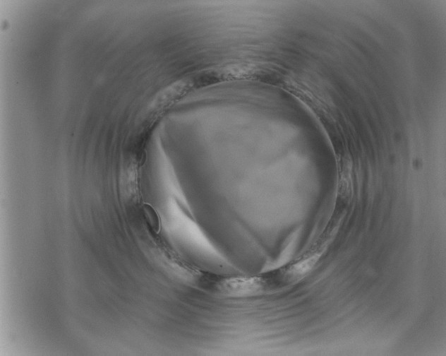 X0000072960526200608041156