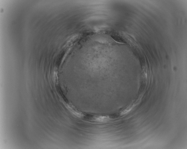 X0000072960527200608041156