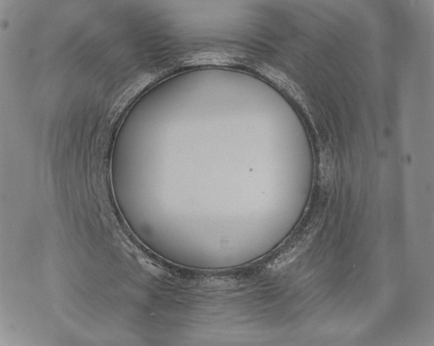 X0000072960529200608041155