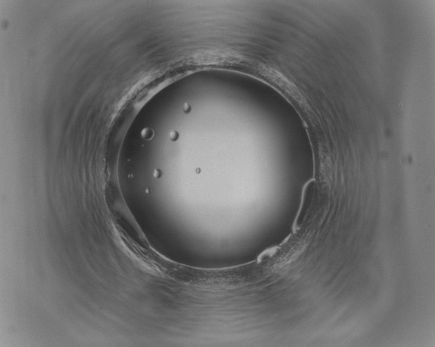 X0000072960530200608041155