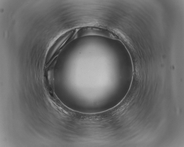 X0000072960532200608041155