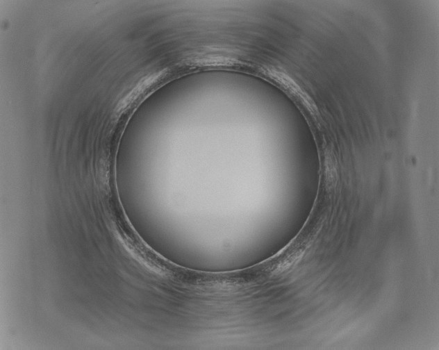 X0000072960533200608041155