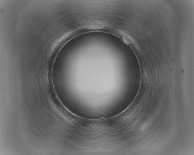 X0000072960535200608041155