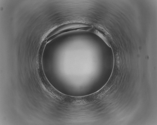 X0000072960536200608041155