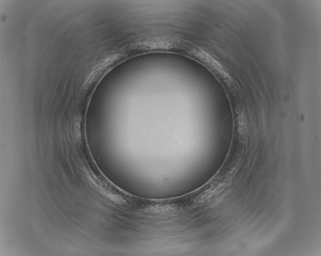 X0000072960537200608041155