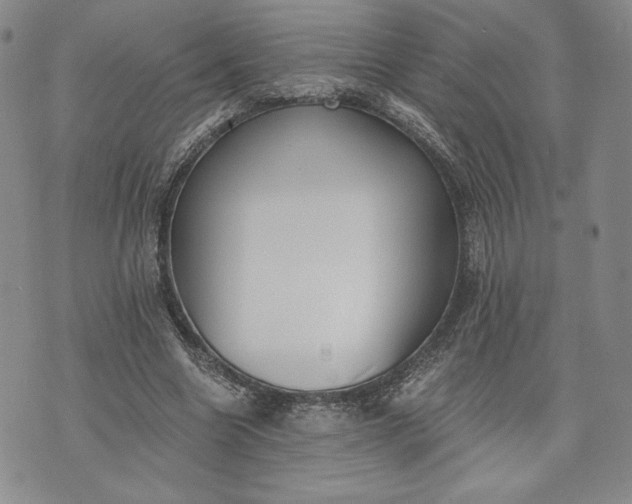 X0000072960538200608041155