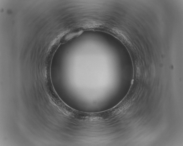 X0000072960539200608041155