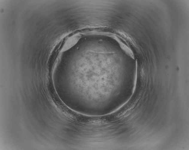 X0000072960540200608041155