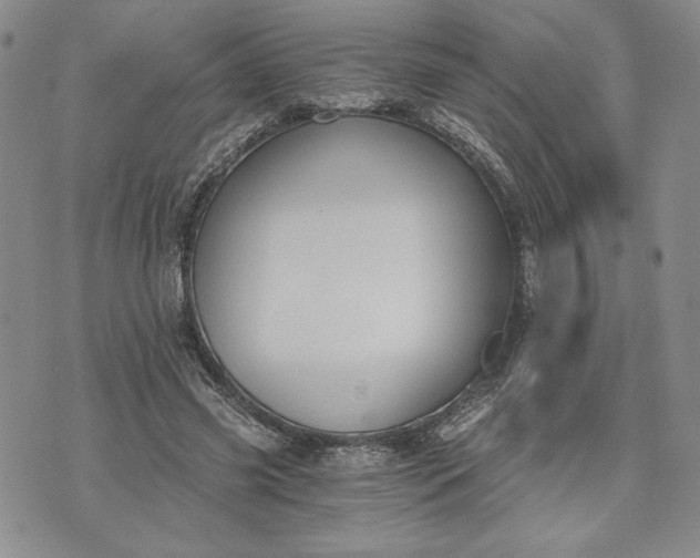 X0000072960541200608041155