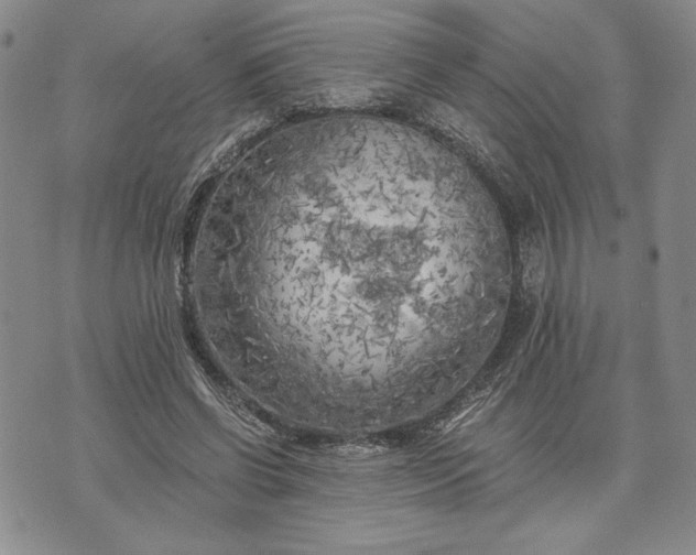 X0000072960542200608041155