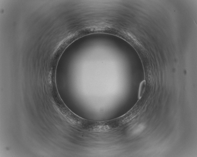 X0000072960543200608041155