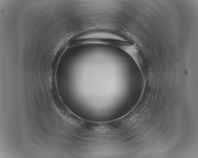 X0000072960544200608041155