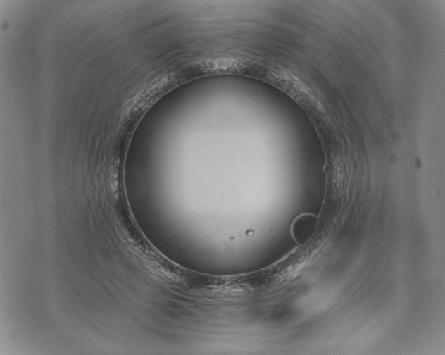 X0000072960545200608041155