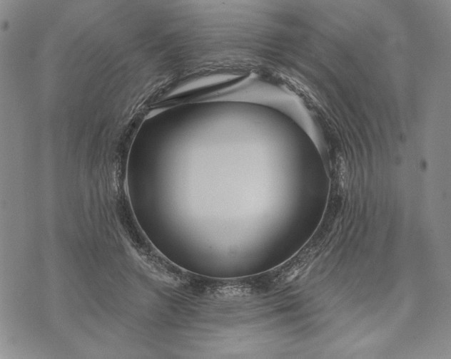 X0000072960546200608041155