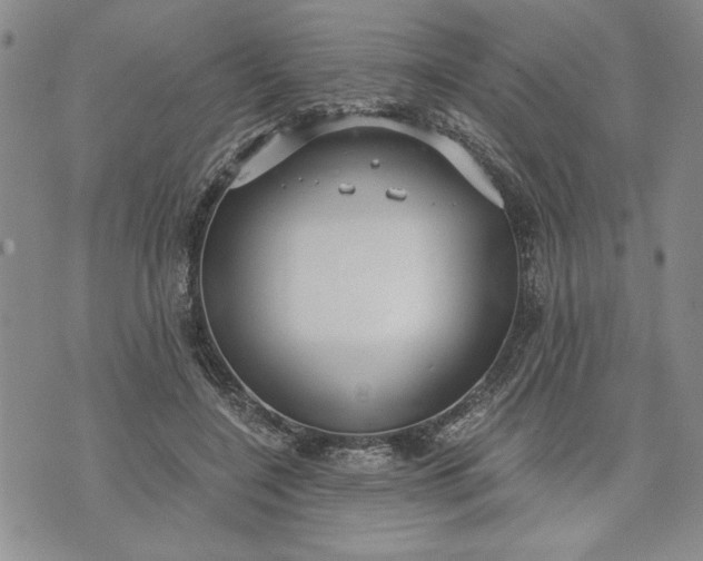 X0000072960548200608041155