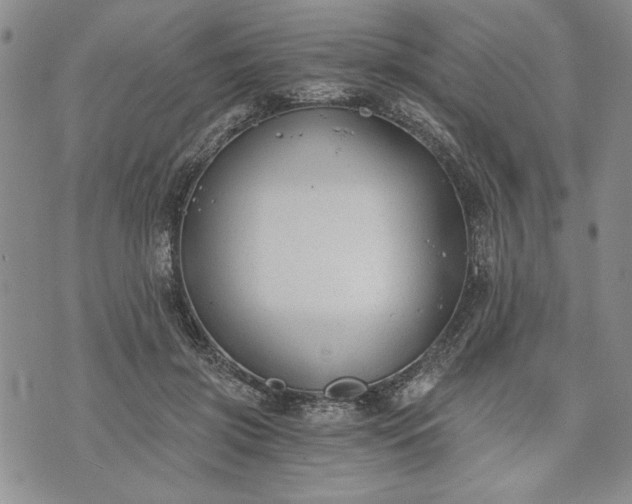 X0000072960549200608041155