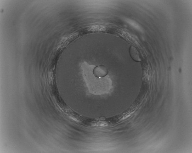 X0000072960551200608041155