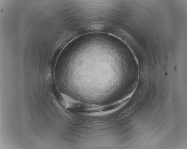 X0000072960552200608041155