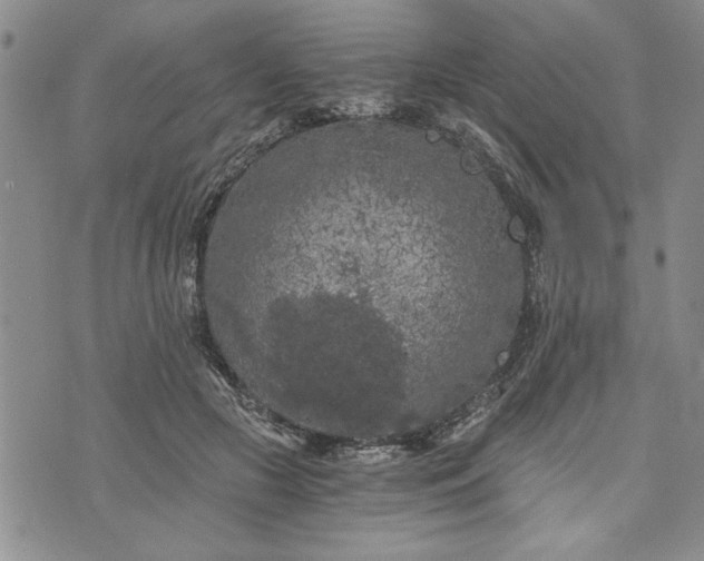 X0000072960553200608041155