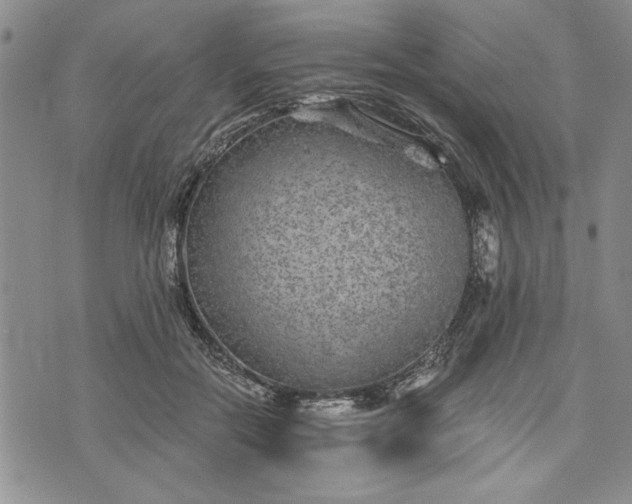 X0000072960554200608041155