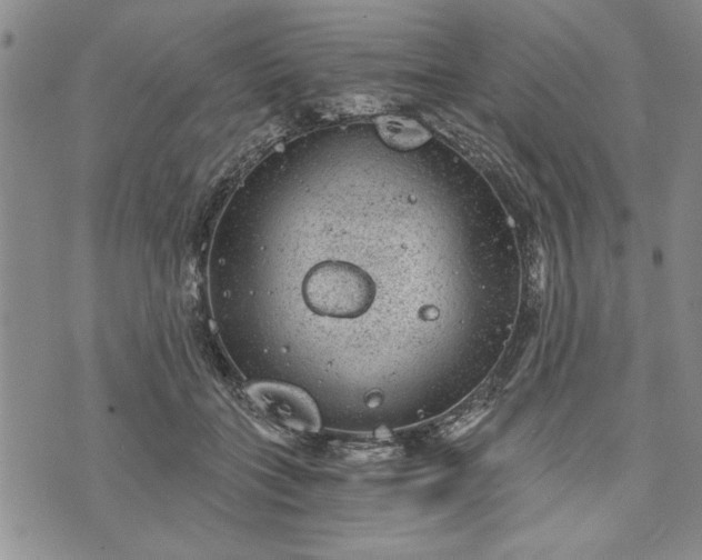 X0000072960555200608041155