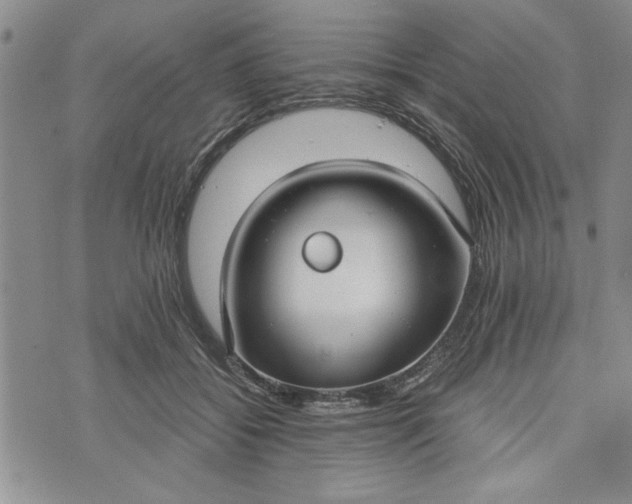 X0000072960556200608041155