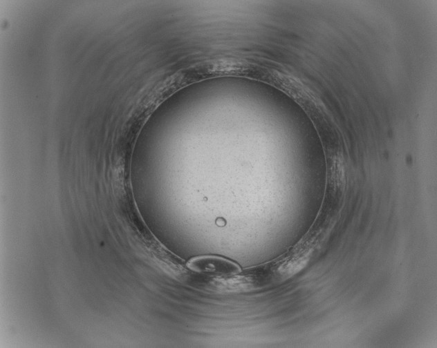 X0000072960557200608041155