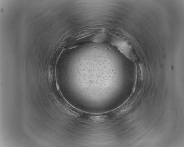 X0000072960558200608041155