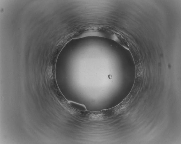 X0000072960560200608041155