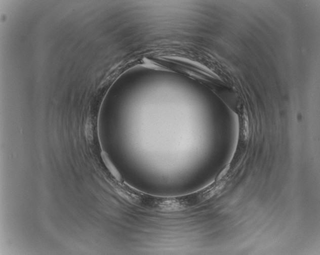 X0000072960562200608041155