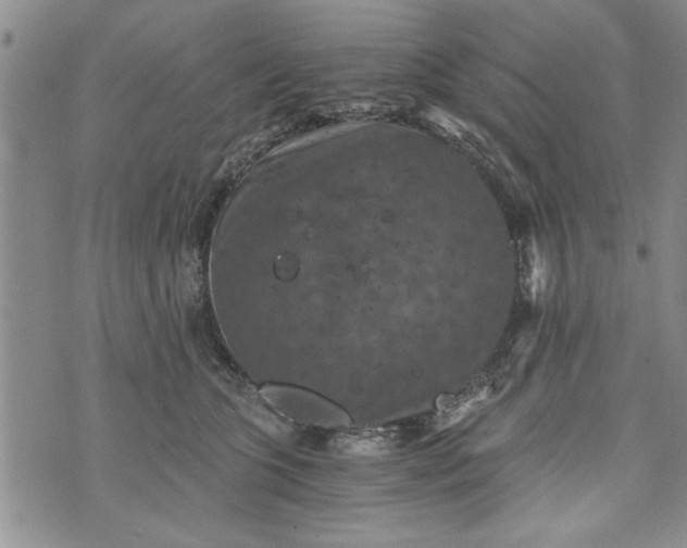 X0000072960563200608041155