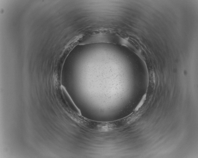 X0000072960564200608041155