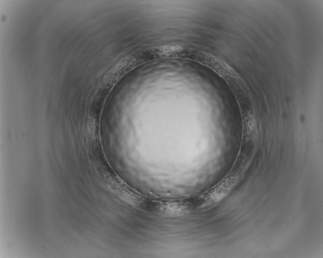 X0000072960565200608041155