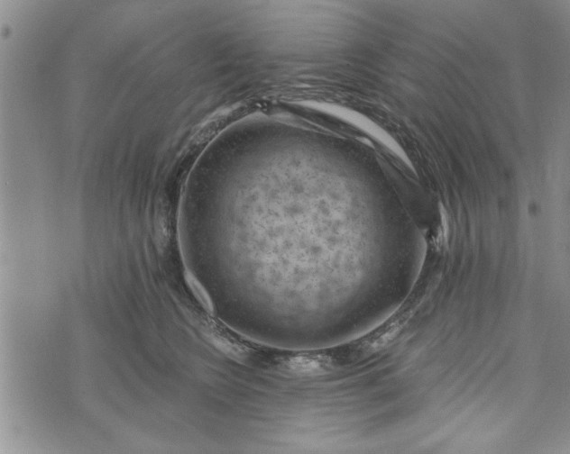 X0000072960566200608041156