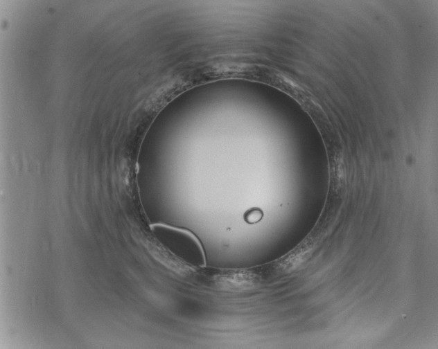 X0000072960567200608041156