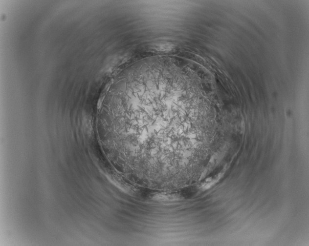 X0000072960568200608041156