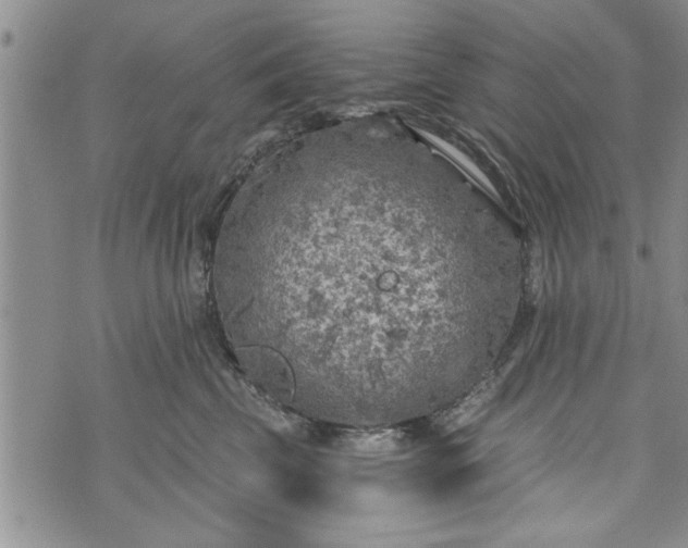 X0000072960569200608041156