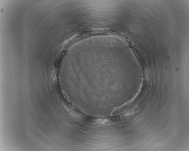 X0000072960570200608041156