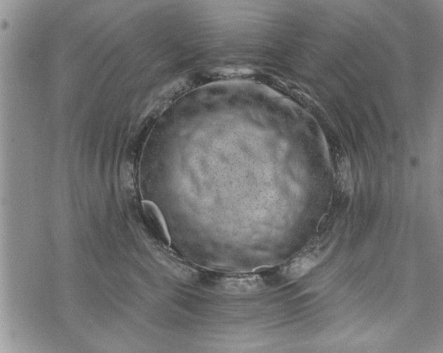 X0000072960571200608041156