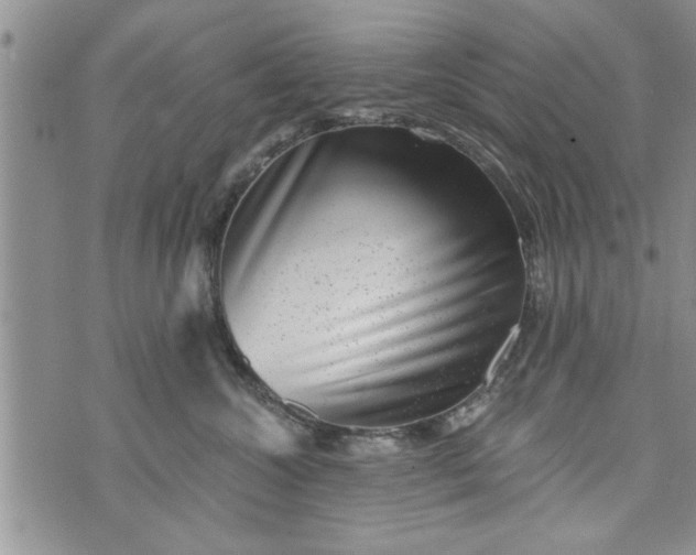 X0000072960572200608041156