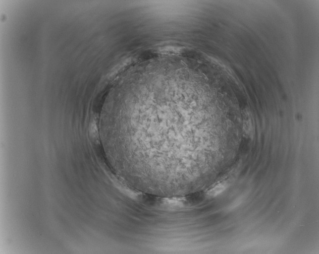 X0000072960573200608041156