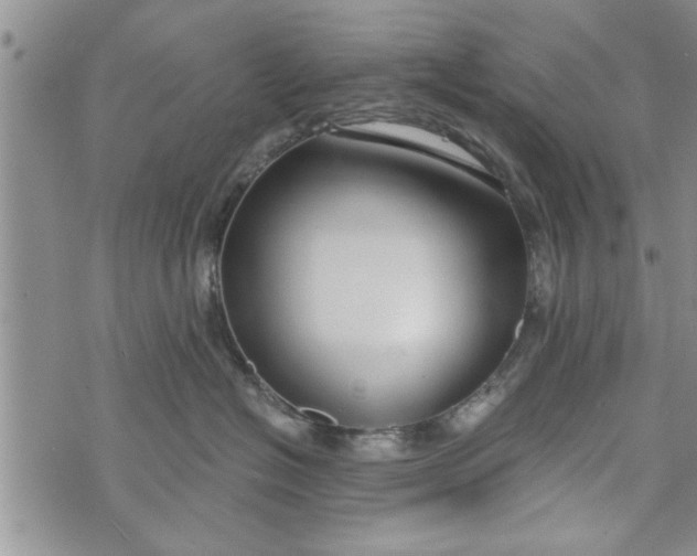 X0000072960574200608041156