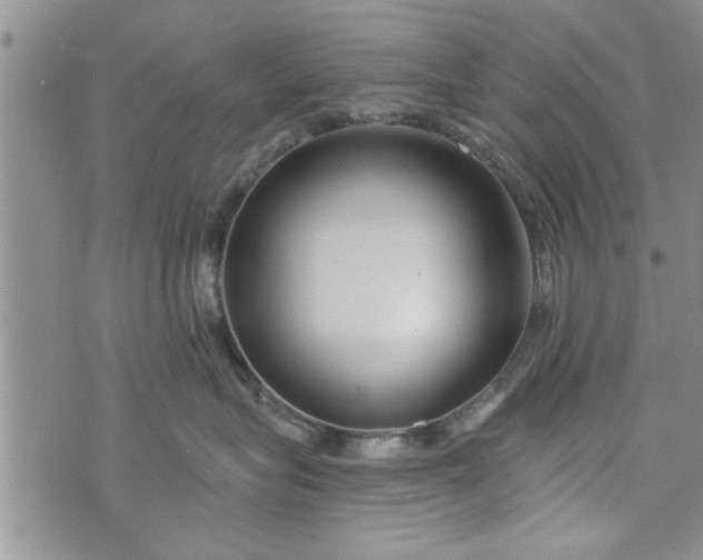 X0000072960575200608041156