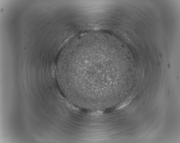 X0000072960576200608041156