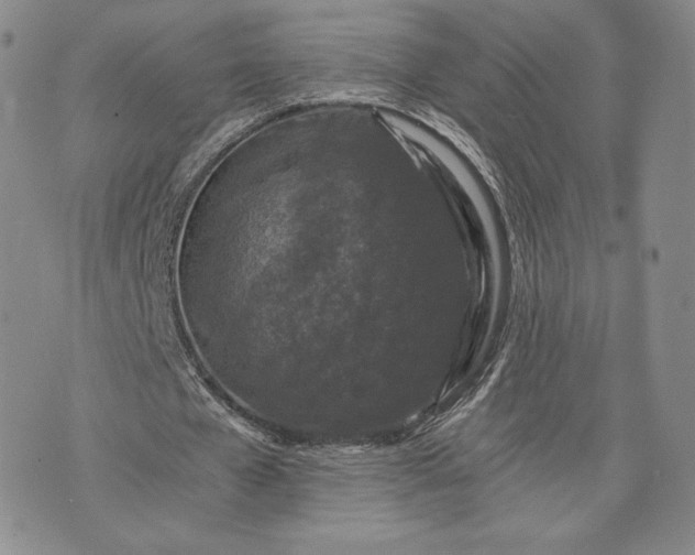 X0000072960577200608041155