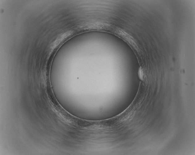 X0000072960578200608041155