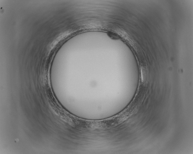 X0000072960579200608041155