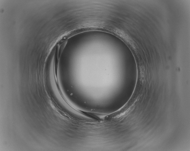 X0000072960580200608041155