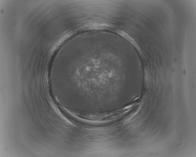 X0000072960581200608041155