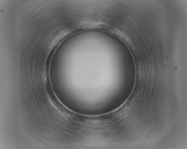 X0000072960582200608041155